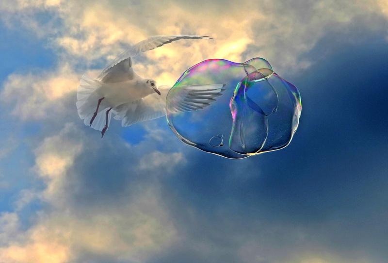 cloud - sky, shimmer, cover, flying, sky, fly, mid-air, outdoors, bird, bubble, fantasy, tender, animal, fragility, digital composite, fine, vulnerability