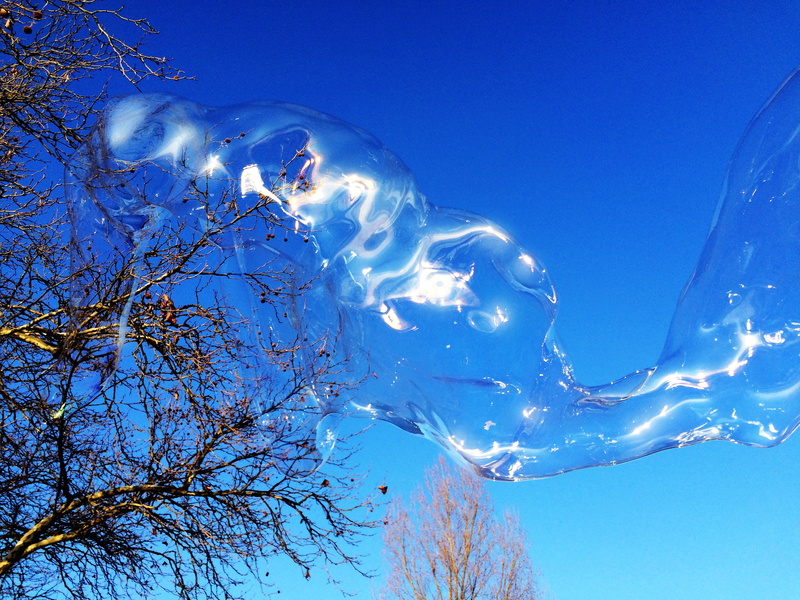 large, water, blow, animal, weightless, animal themes, float, beautiful, outdoors, nature, group of animals, huge, transient, clear sky, fly, blue, soap bubble