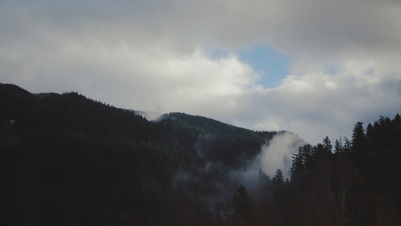 remote, fog, day, cloud - sky, 4K, non-urban scene, sky, mountains, idyllic, black, tree, fur, land, nature, white, scenics - nature, textile, environment