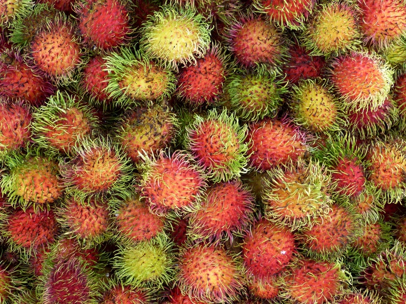 full frame, spiky, healthy Eating, vietnam, dessert, market, retail, outdoors, rambutan, sweet Food, nutrition, fruits, tropical, refreshment, ripe, exotic fruits