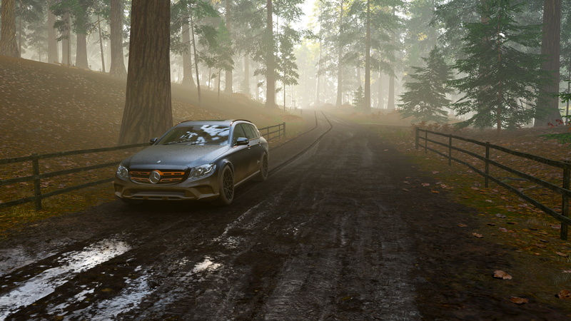 350 D, Mercedes-Benz E-Class, Forza Horizon 4, Mercedes Benz 350 D, 4K