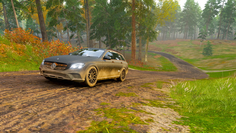 Mercedes-Benz E-Class, 350 D, 4K, Forza Horizon 4, Mercedes Benz 350 D