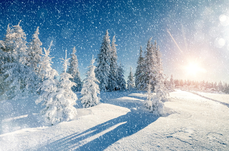 land, snowcapped mountain, landscape, tranquility, no people, cold temperature, outdoors, ice, pine tree, environment, snow, sky, blizzard, beauty in nature