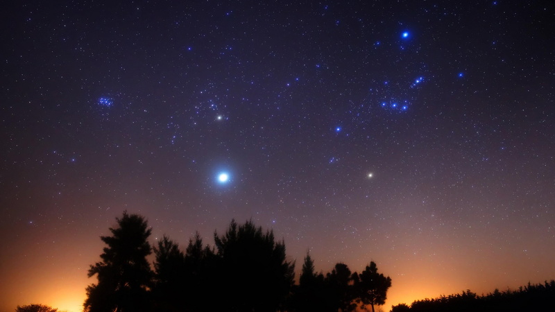astronomy, plant, sirius, majestic, tree, orion, starry sky, scenics - nature, night, darkness, tranquility, outdoors, beauty in nature, sky, idyllic, no people