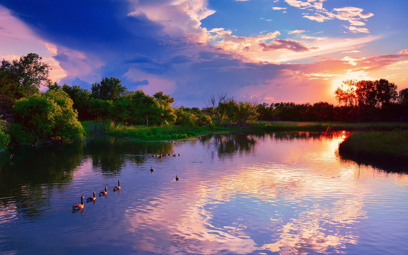 Sunset, green, Creek, body, Kansas, Trees, 1080P, Ducks, Lake, Park, mallard, Chisholm, grass, water, beside, USA, photo, Wichita