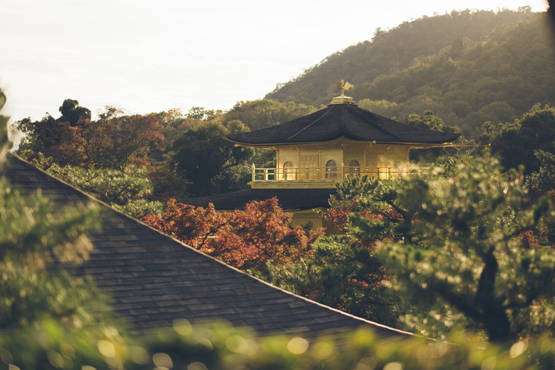 house, residential district, temple, building exterior, trees, place of worship, kinkaku-ji, tree, gold, belief, built structure, mountain, architecture