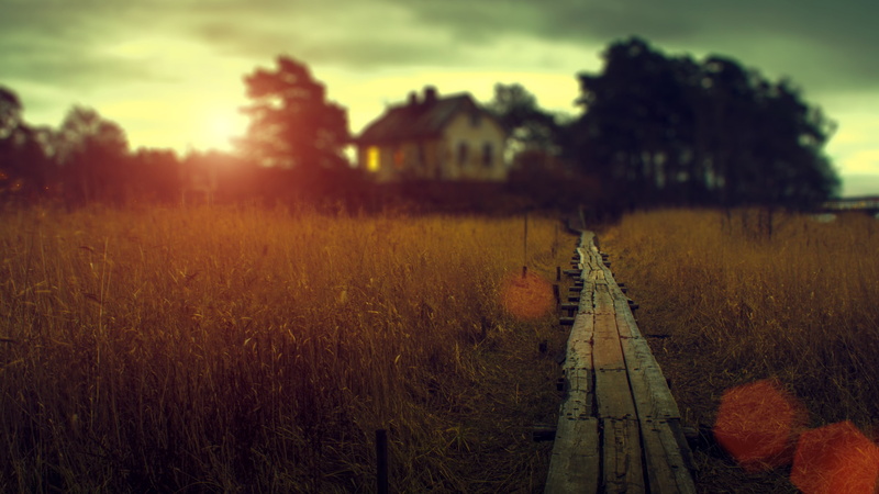 house, land, sky, morning, 4K, sunlight, direction, countryside, tranquil scene, field, sunset, tranquility, growth, outdoors, no people, diminishing perspective