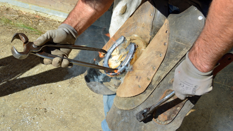 real people, blacksmith tools, human hand, hand, human body part, tool, 4K, farrier, artisan, low section, day, farriery, outdoors, industry, metal, blacksmith