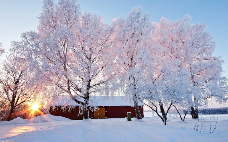 tranquil scene, outdoors, snowcapped mountain, building exterior, cold temperature, sky, wooden, 1080P, no people, house, barn, beauty in nature, trees