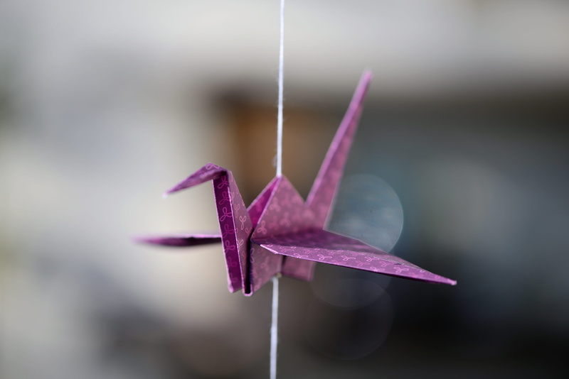 flower, tinker, crane, petal, wish you, greeting card, lucky charm, depend, origami, inflorescence, focus on foreground, deco, vulnerability, selective focus