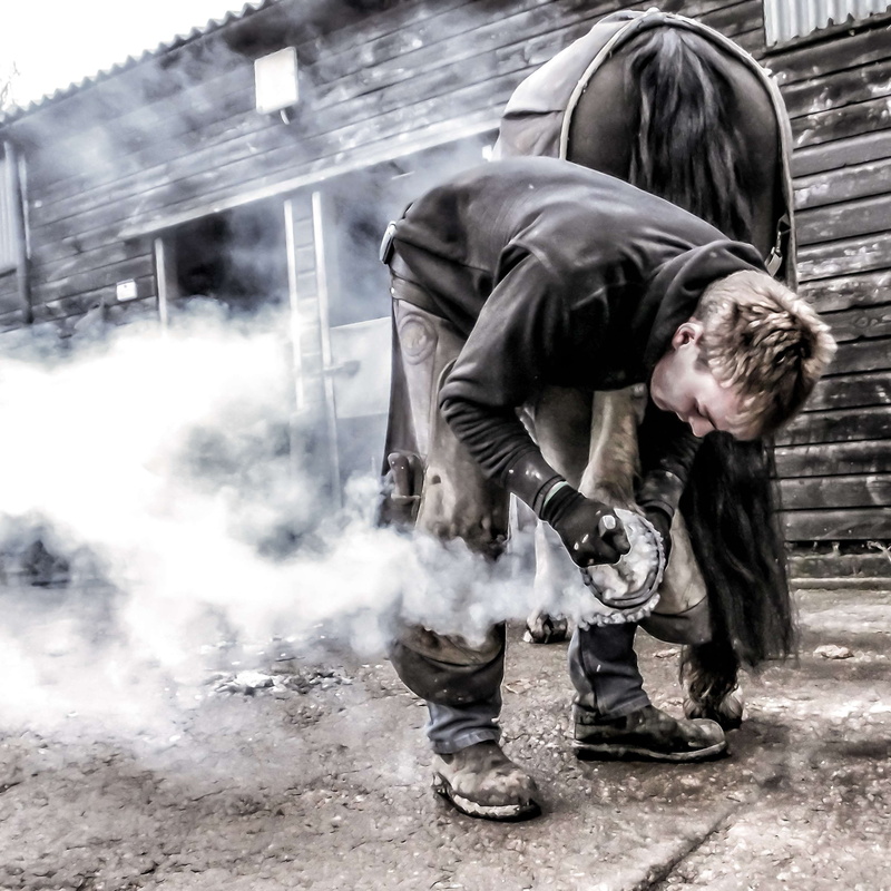 definition, hoof, togetherness, occupation, texture, casual clothing, day, young adult, crouching, tradition, people, iron, outdoors, horse, 2K, full length