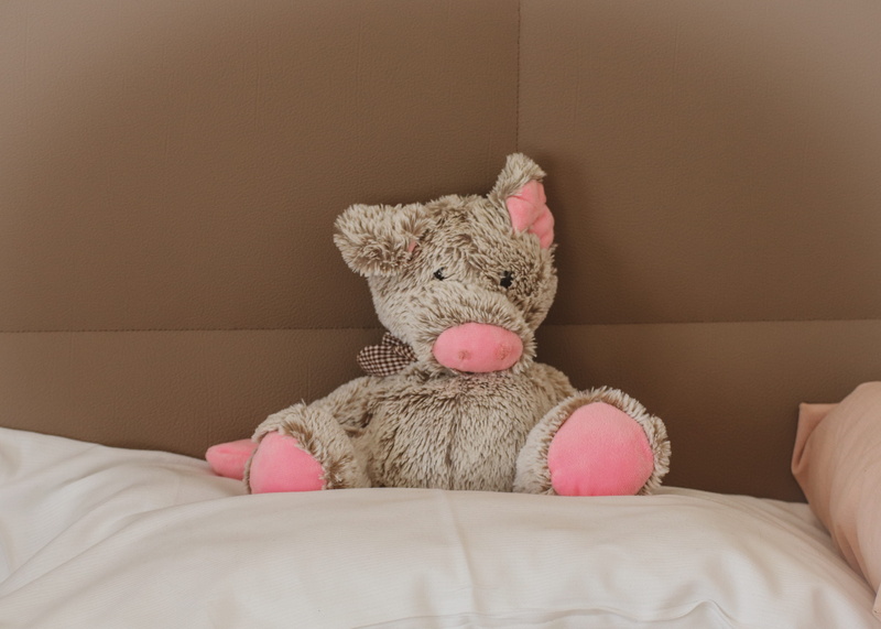 still life, indoors, close-up, pig, furniture, copy space, 5K, softness, domestic room, decoration, greeting card, piglet, pillow, wall - building feature