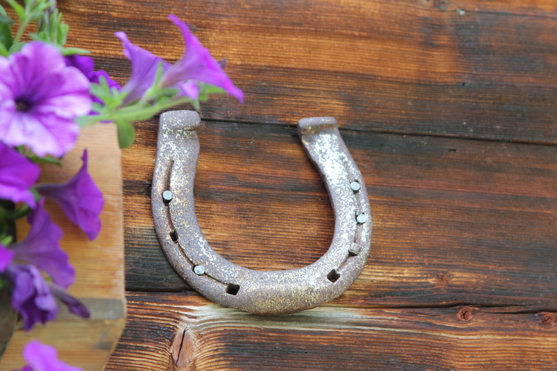 horseshoe, lucky charm, day, horse, purple, ride, outdoors, luck, fragility, safety, vulnerability, metal, freshness, entrance, flower head, no people