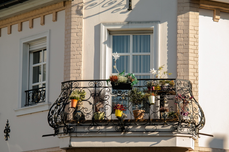 lighting equipment, sunlight, glass - material, building, architecture, oberdollendorf, metal, potted plant, shutter, flowers, house, home front, decoration
