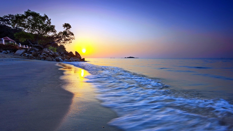 beach, sunrising, sun, waves, 4K, sunrise, ocean, tree, water, sky, sea