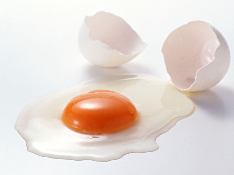 single Object, indoors, purity, side, white color, broken, fragility, white, brown, ingredient, shell, isolated, breakfast, organic, protein, cracked, white background