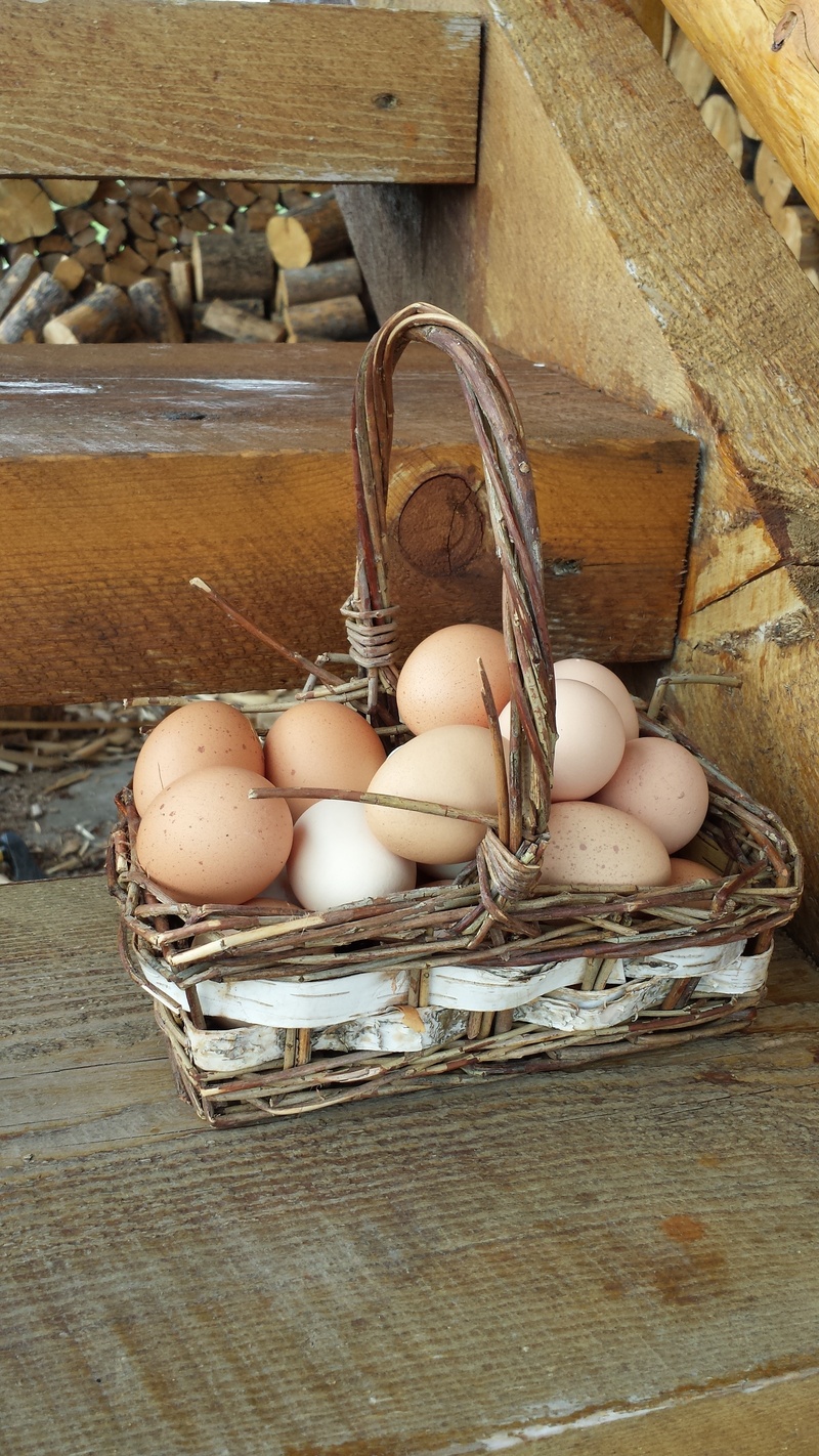 produce, fresh eggs, white color, fragility, brown, eggs, still life, range chickens, raw food, table, brown eggs, wicker basket, no people, eggs in one basket