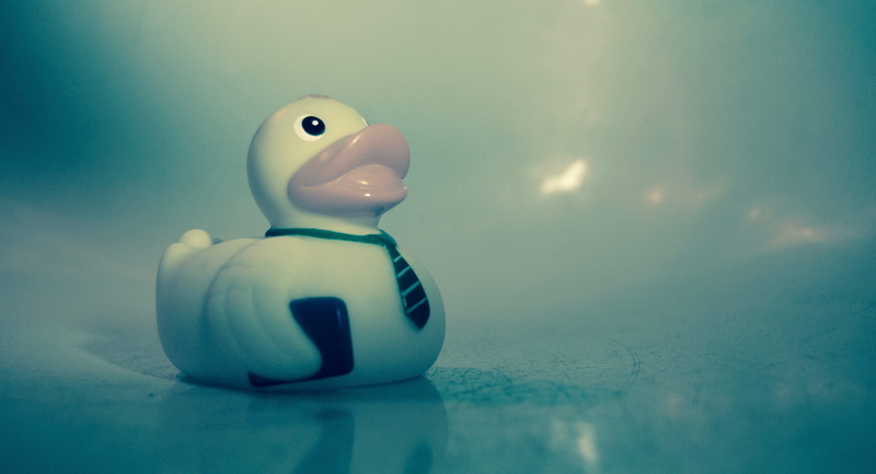 bathroom, toy, nature, ceramics, no people, reflection, Tub, blue background, porcelain, Bath, business, finance, representation, plastic, duck, studio shot