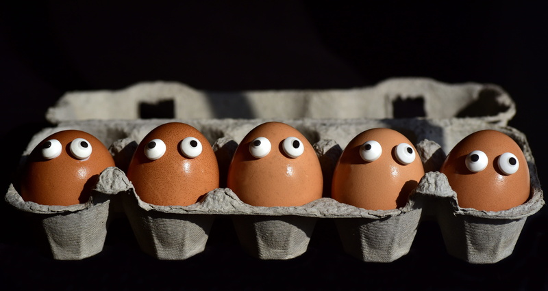 no people, society, eggs heads, egg packaging, still life, creativity, sweating, egg shells, pack, egg carton, choice, studio shot, focus on foreground