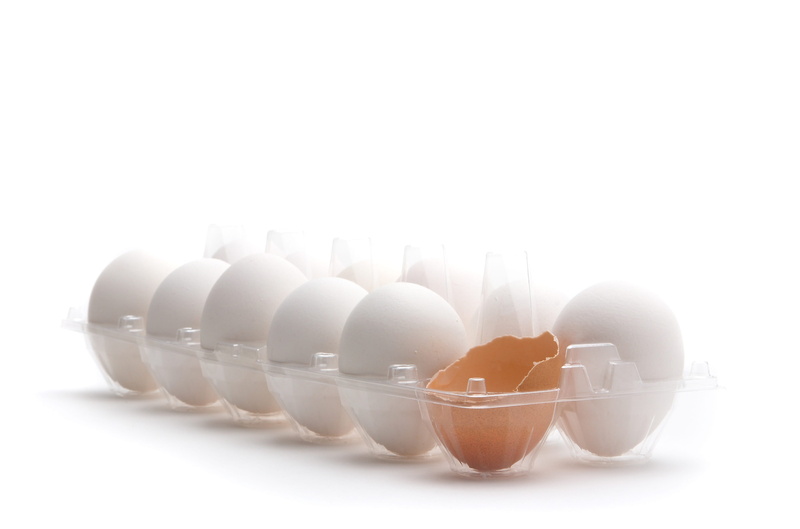 egg, omelette, white, 4K, freshness, fragility, white background, still life, indoors, chef, raw food, breakfast, meal, cooking, egg carton, shock, case