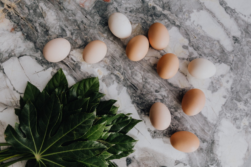 ingredient, no people, still life, nature, food and drink, high angle view, directly above, freshness, raw food, organic, flatlay, vulnerability, food
