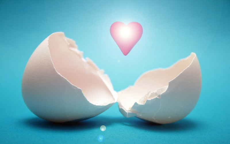close-up, emotion, shell, studio shot, light, colored background, food and drink, blue background, valentines day - holiday, heart shape, blue, positive emotion