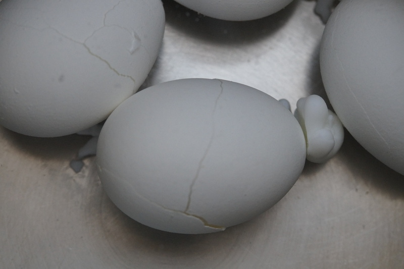 indoors, group of objects, egg, expired, protein, medium group of objects, animal egg, studio shot, raw food, cracked, food and drink, wellbeing, shell