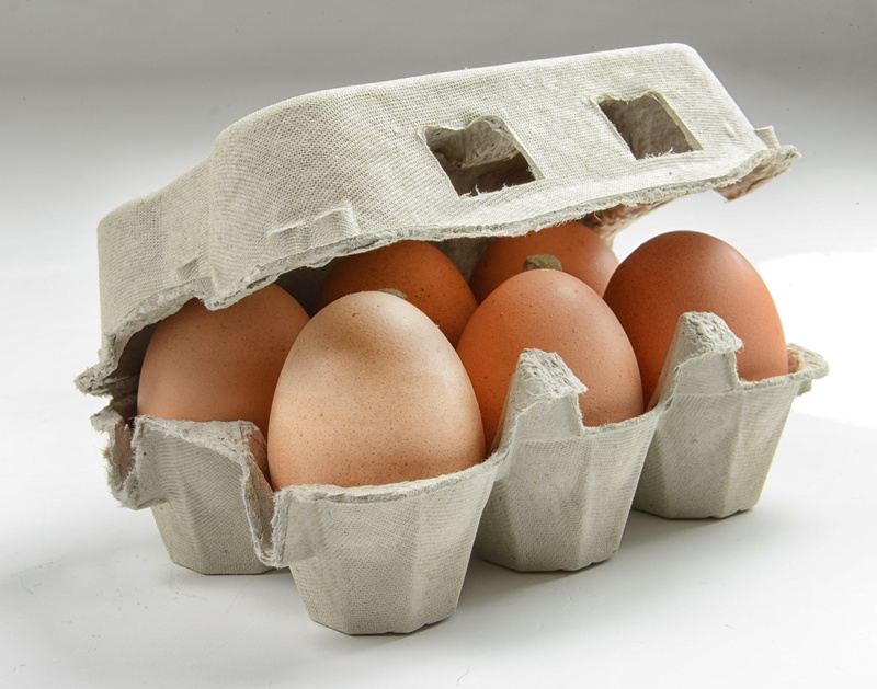 still life, food, egg, white background, container, no people, brown, carton, raw food, 5K, box, fragility, egg carton, healthy eating, poultry, studio shot