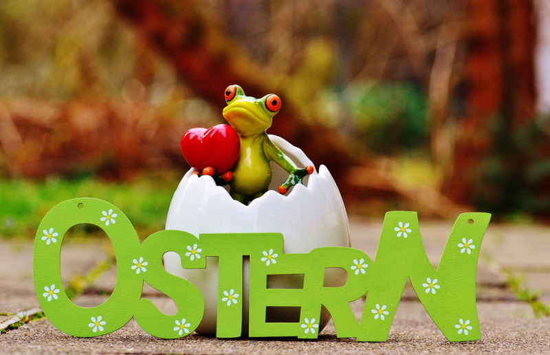 nature, animal themes, toy, day, eggshell, close-up, art and craft, frog, cute, celebration, easter greeting, spring, 5K, no people, figurine, color, happy easter