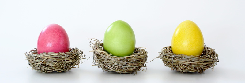 egg, color, cooked, easter theme, eggs, variation, white background, green color, head image, easter decoration, multi colored, indoors, header, colorful