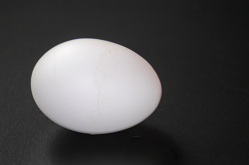 indoors, food, healthy eating, 4K, animal egg, cooked, close-up, shell, vulnerability, hartgekocht, no people, black background, nature, egg, food and drink