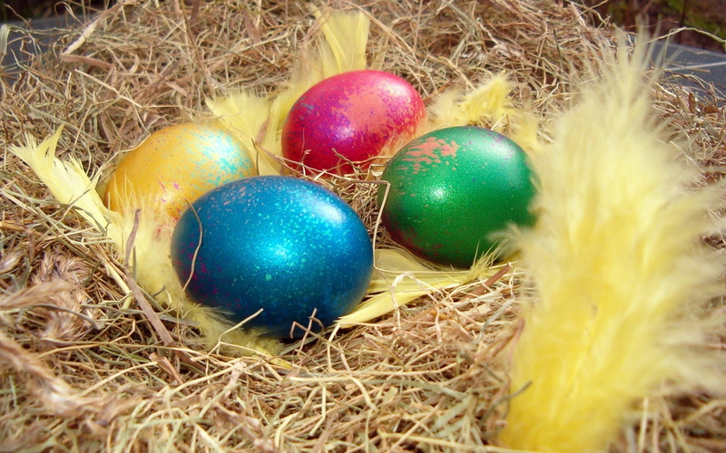 Four, Egg, 1080P, Easter, Color, eggs