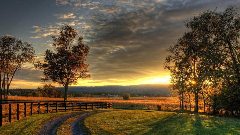 nature and landscapes, 1080P, road, begining, fence, trees, fields, autumn, sunset