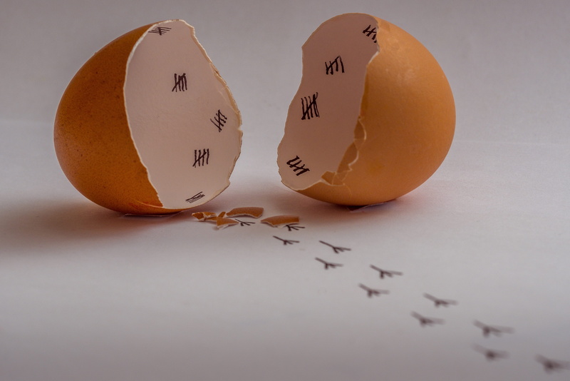no people, 4K, art, broken, eggshell, raw food, close-up, egg, food, food and drink, indoors, footprints, break out, healthy eating, vulnerability, nature
