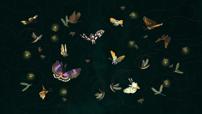 light, nature, lighting equipment, marine, trajectory, butterfly, beauty in nature, growth, animal themes, flight, close-up, floating on water