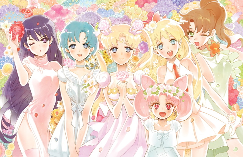 characters, hair, senshi, girl, bishoujo, girls, sailor, long, moon, beautiful, anime, series, group, 720P