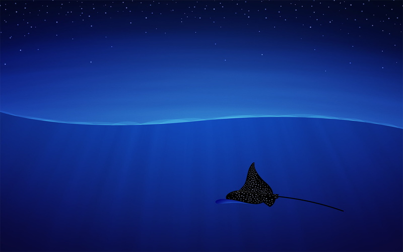 blue, SKAT, 1080P, vladstudio
