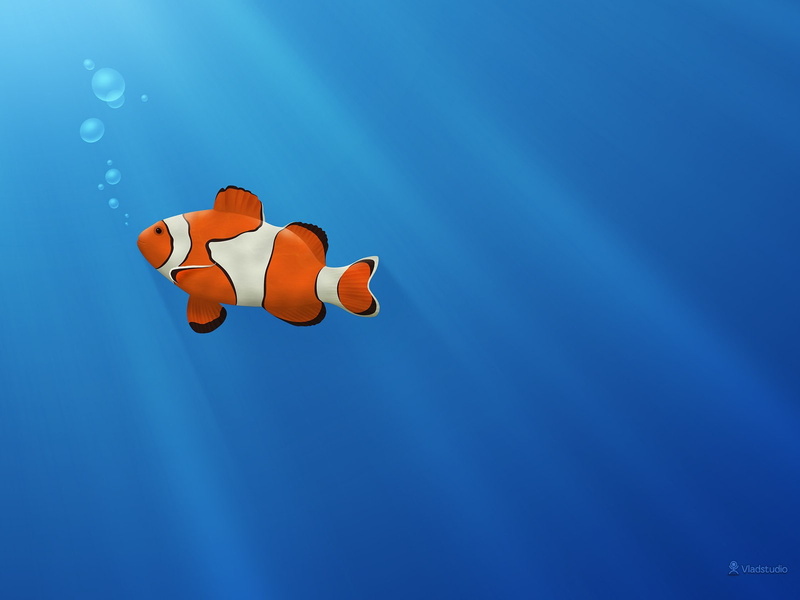 fish, Clownfish, Vladstudio, bubbles, Blue Background, 720P