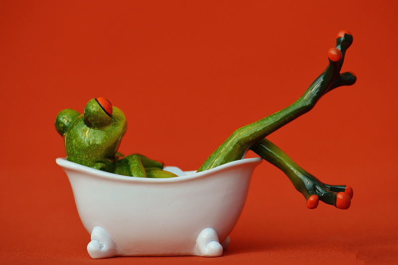 plant stem, chili pepper, studio shot, Frog, healthy eating, various, freshness, spice, still life, bathroom, cut out, hygiene, colored background, green Color