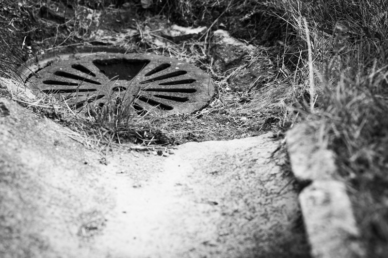 selective focus, steel, city, tree, close-up, building, wc, ecology, field, land, high angle view, nature, 4K, underground, hygiene, day, water, drainage