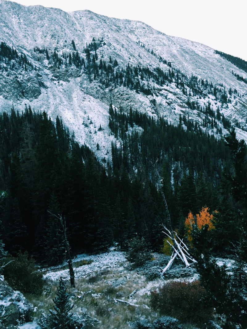tree, scenics - nature, winter, snow, snowcapped mountain, trees, cold temperature, environment, sky, united states, plant, tranquility, hiking, nature