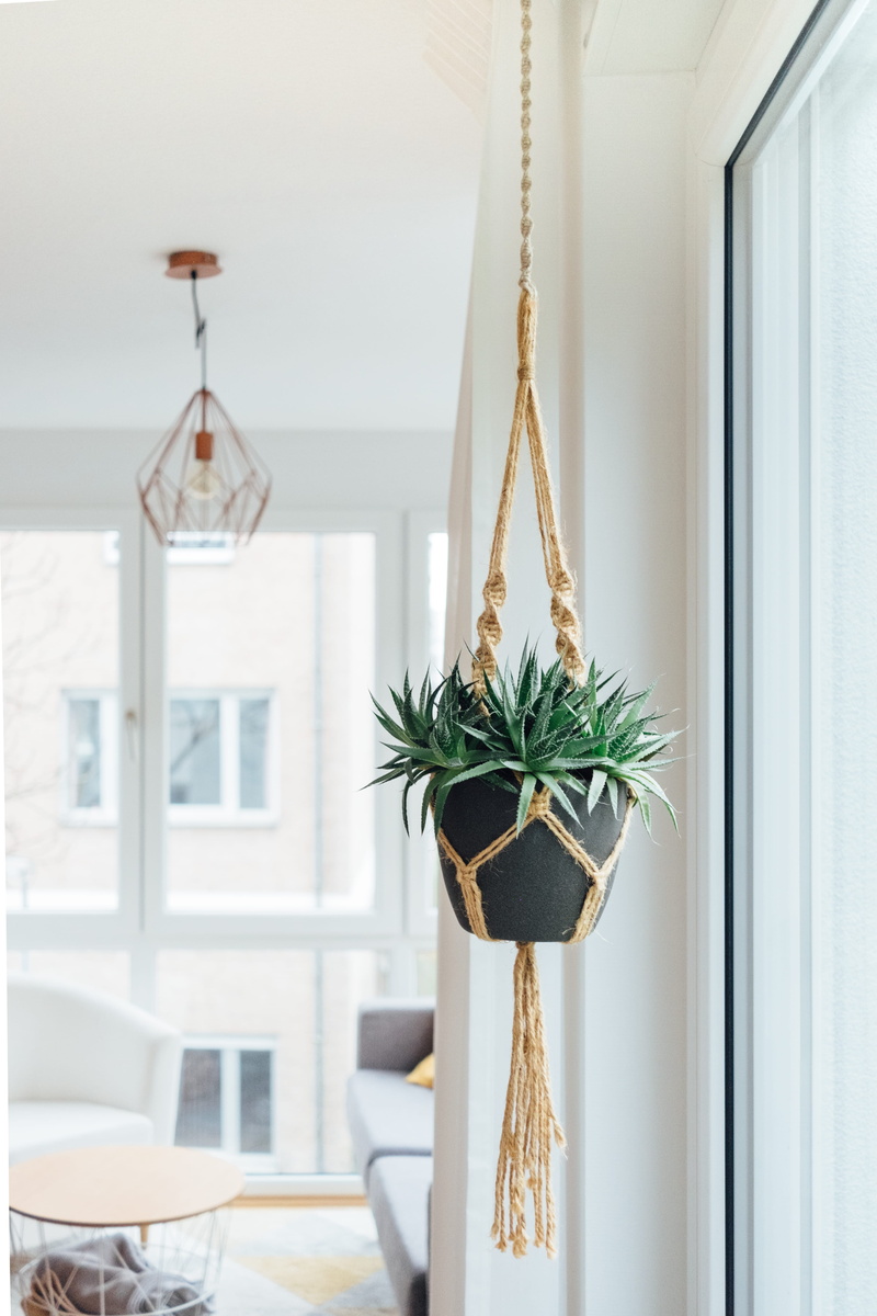 indoors, architecture, home interior, glass - material, window, celebration, snide, pendant, focus on foreground, daytime, house, potted, near, decoration