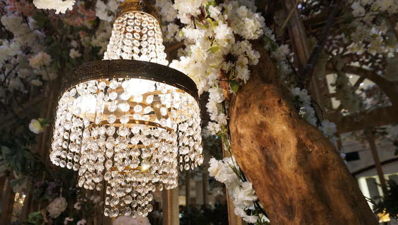 light, illuminated, crystal chandelier, growth, Crystal, decoration, tree, glass, retro, classical, vintage, elegant, focus on foreground, plant, lamp