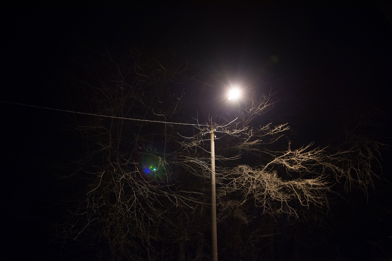pole, 5K, post, power lines, light, copy space, plant, moonlight, glowing, nature, light - natural phenomenon, night, sky, low angle view, leaf, dark