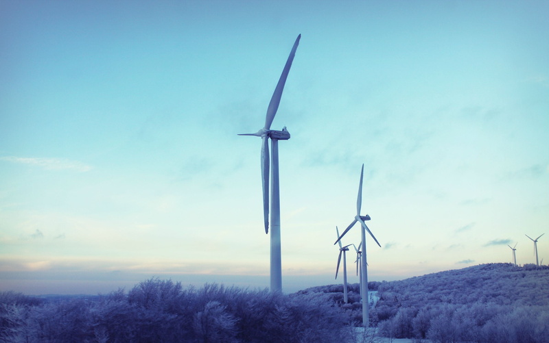 alternative energy, white, low angle view, nature, tree, fuel and power generation, no people, turbine, sky, windmill, land, field, outdoors, environment