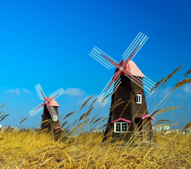 nature, renewable energy, alternative energy, environment, 720P, fuel and power generation, plant, clear sky, sustainable resources, land, no people, windmill