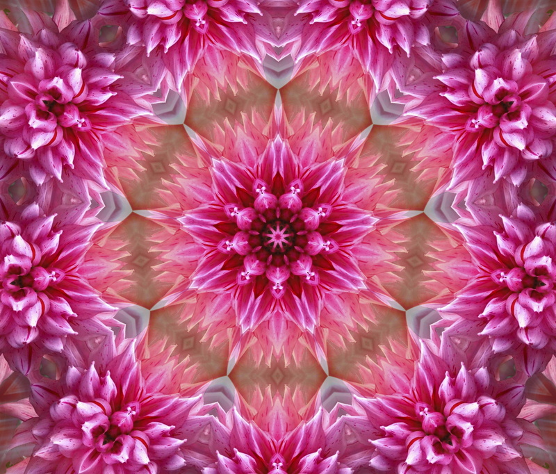 1080P, texture, graphics, pattern, background, symmetry, digital art, mandala, flowers