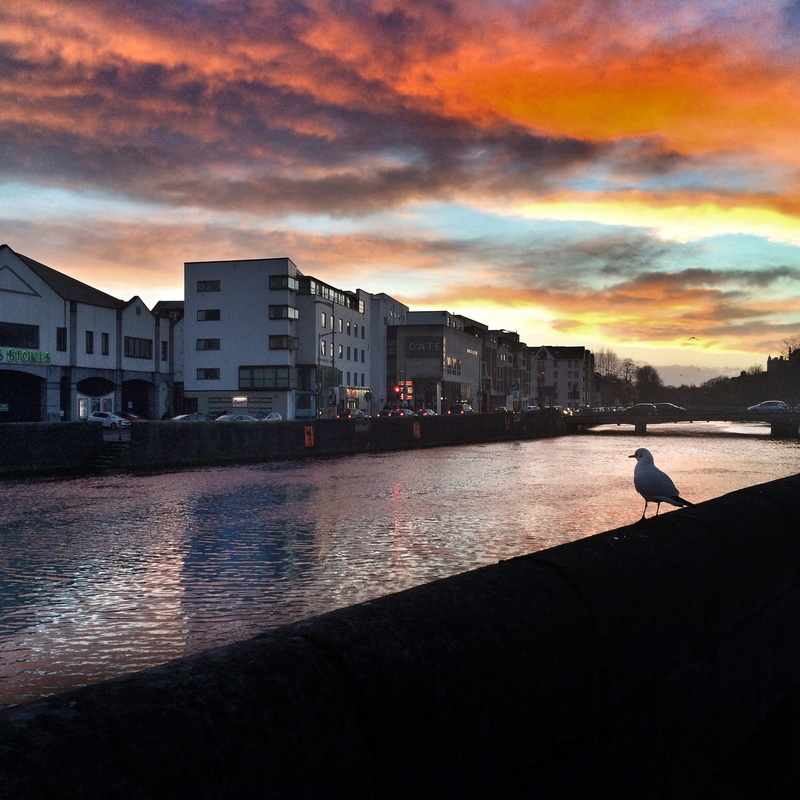 built structure, no people, nature, building, sunset, cork city, outdoors, architecture, animals in the wild, city scape, vertebrate, river, water, bird