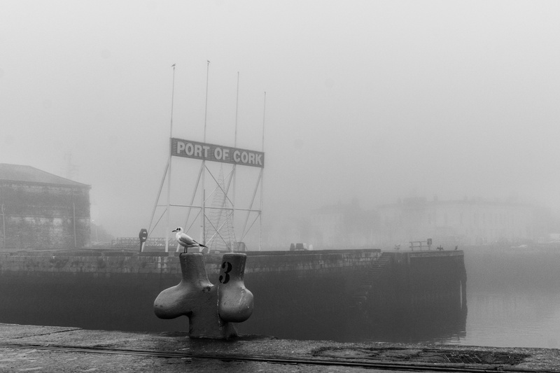 nautical vessel, day, sky, nature, sea, ireland, architecture, port, building exterior, cork city, bw, fog, cork, western script, sign, seagul, communication