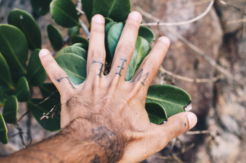 real people, human hand, one person, soil, green color, finger, high angle view, henna, toad, day, animal, outdoors, 5K, plants, wildlife, gardening, person